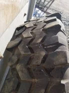 Interco TSL. ����� mt, �/�, ����� 50 %. ���������� (������) ����