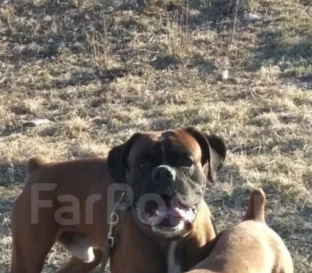 ������. ��� ����� �� ������� ����