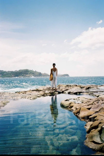 Minolta ����