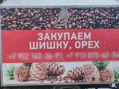 �������� �������� ���� ����