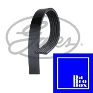 ������ ������������ (���������) Gates 6PK2245 6PK2245 ����
