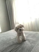 ����������� �������. ����