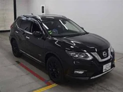 Nissan X-Trail. �������, ��������, 2.0, ������, 25����. ��, �/�. ��� ����� �� ������������ ����