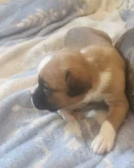 ������. ��� ����� �� ������� ����