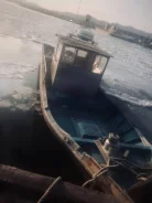 Yanmar. 1986 ���, ����� 12��., ��������� ������������, 140��.�., ������ ����