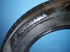 Yokoma. ������, 2019 ���, �/�, ����� �� 5�% ����