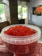 ���� �������. ����