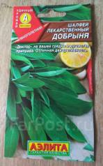 Шалфей дубравный Остфрисленд (Ostfriesland)