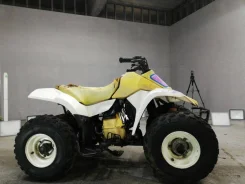 Suzuki Quadsport 80. ��������, ��, ��� ������� ����