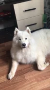 ���������� ������. ����