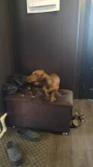�����. ����