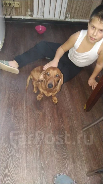 �����. ����