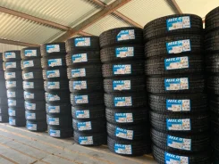 Hilo XS1. �����������, 2026 ���, ����� ����