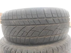 Evergreen EW66. ������, ��� �����, �/�, ����� 5 % ����