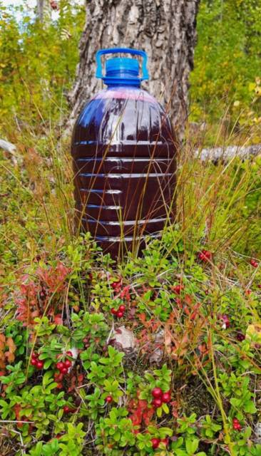 Сок лимонника, под заказ. Цена: 400₽ во Владивостоке