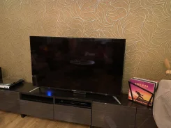 Samsung LE40R81B. LED ����
