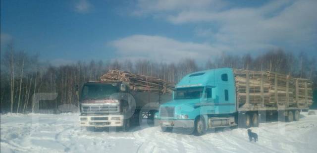 Дрова горбыль машина 50 кубов лесовоз длинномер длиномер, в наличии в ...