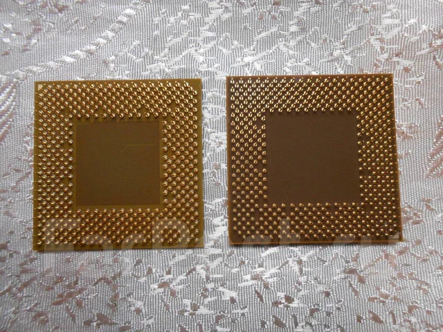 AMD ����