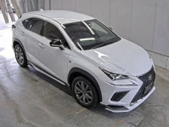 Lexus NX300. �������, ��������, 2.0 (233��.�.), ������, 13 000����. ��, �/�. ��� ����� �� ������������ ����