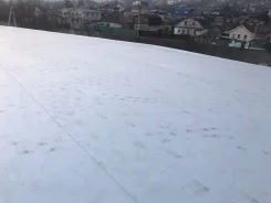 ������ ���������� ������. ����