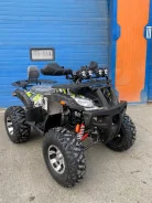 Grizzly. ��������, ��, ��� ������� ����