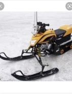 Irbis Dingo T150. ��������, ���� ���, � �������� ����