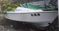Yamaha F-15. ����� 4,6��. ��� ����� �� ������������ ����