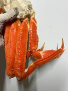 ����. ����