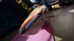 ����. ����