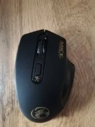 ���� ������������. ����