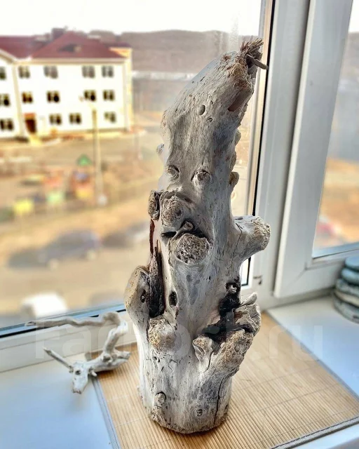 ������. ����