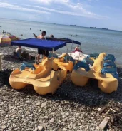 Future Beach. 2017 ���, ����� 2,5��., ��������� ��� ��������� ����