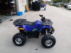 Quad Hummer 125. ��������, ��� ���\���, ��� ������� ����