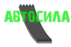 ������ ���������� 5PK995 ASA 5PK1000 ����