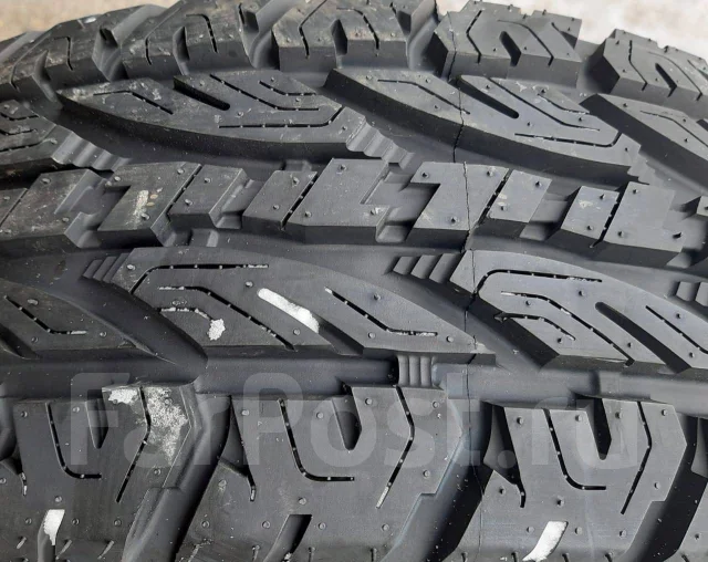 Tourador. ����� at, 2021 ���, ����� ����