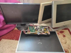 Asus. 19" ����