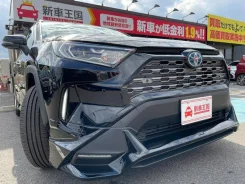 Toyota RAV4. ��������, ��������, 2.5 (178��.�.), ������, 9����. ��, �/�. ��� ����� �� ������������ ����