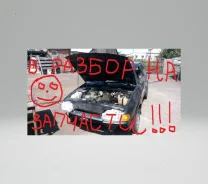 ���� 2113 ����