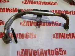 ������ EGR ����