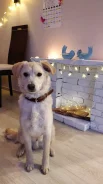 ������. ����