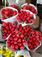 ��������. ��� ����� �� ������������� ������ ����