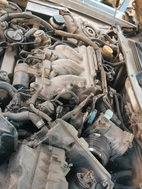 Nissan Cefiro. PA33, VG25 DD ����
