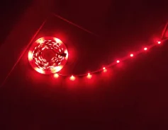����� ������������. ����