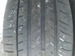 Goform EcoPlus. ������, 2018 ���, �/�, ����� 40 % ����