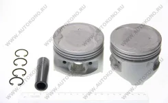 ������ Diesel max 13101-74100 1310174100 ����