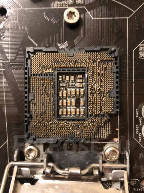 Intel ����