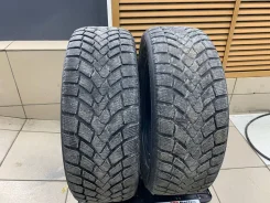 Mazzini Ice Leopard. ������, ��� �����, 2018 ���, �/�, ����� 20 % ����