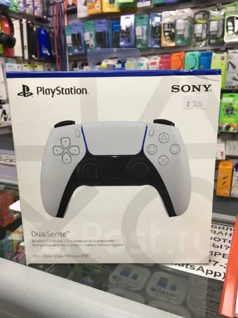 ��������. ����
