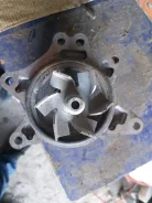 ����� ������� 1610029175 ����