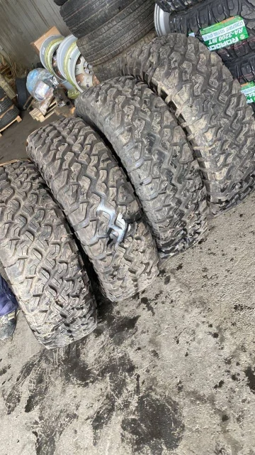 Falken. ����� mt, 2013 ���, �/�, ����� �� 5 % ����